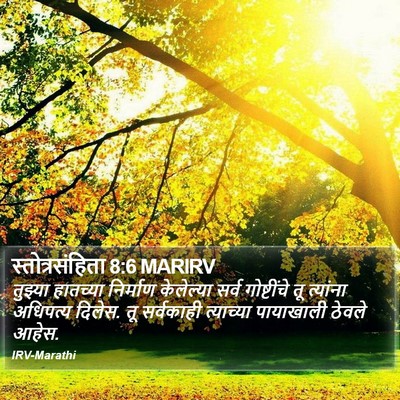 स्तोत्रसंहिता 8:6 MARIRV Bible Verse Image