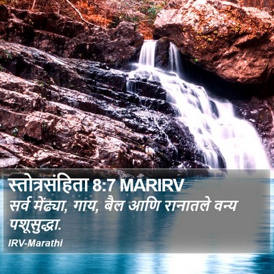 स्तोत्रसंहिता 8:7 MARIRV Bible Verse Image