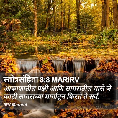 स्तोत्रसंहिता 8:8 MARIRV Bible Verse Image