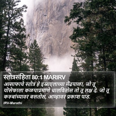 स्तोत्रसंहिता 80:1 MARIRV Bible Verse Image