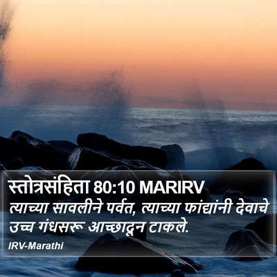 स्तोत्रसंहिता 80:10 MARIRV Bible Verse Image