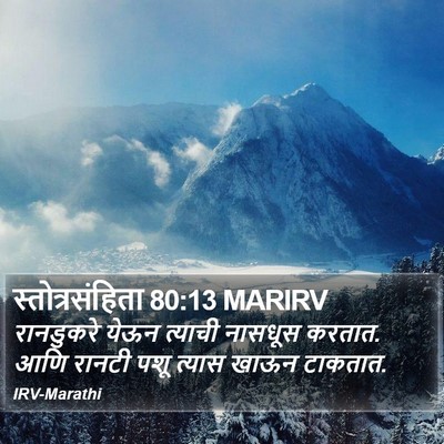 स्तोत्रसंहिता 80:13 MARIRV Bible Verse Image