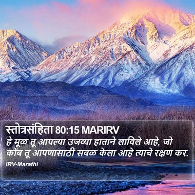 स्तोत्रसंहिता 80:15 MARIRV Bible Verse Image