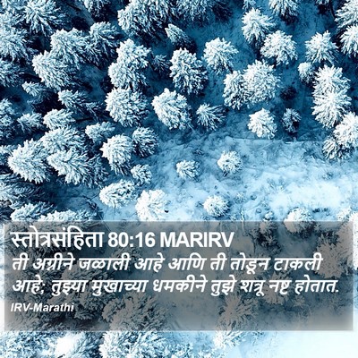 स्तोत्रसंहिता 80:16 MARIRV Bible Verse Image