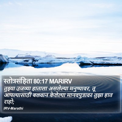 स्तोत्रसंहिता 80:17 MARIRV Bible Verse Image