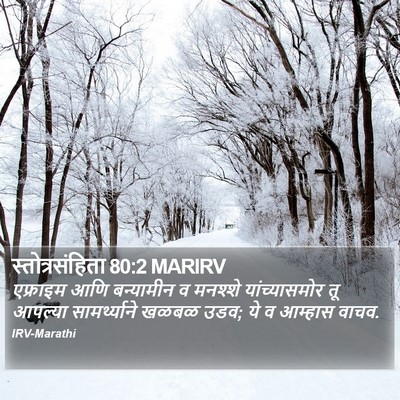 स्तोत्रसंहिता 80:2 MARIRV Bible Verse Image