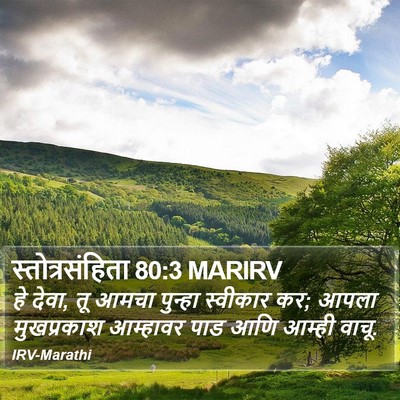 स्तोत्रसंहिता 80:3 MARIRV Bible Verse Image