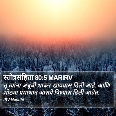 स्तोत्रसंहिता 80:5 MARIRV Bible Verse Image