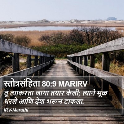 स्तोत्रसंहिता 80:9 MARIRV Bible Verse Image