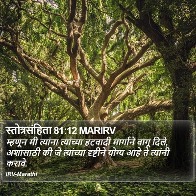 स्तोत्रसंहिता 81:12 MARIRV Bible Verse Image