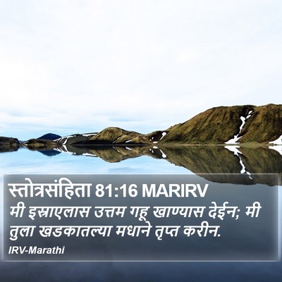 स्तोत्रसंहिता 81:16 MARIRV Bible Verse Image