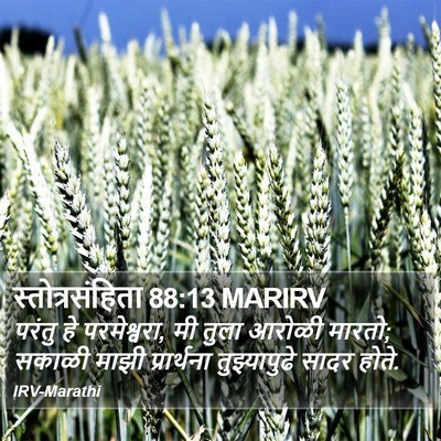 स्तोत्रसंहिता 88:13 MARIRV Bible Verse Image