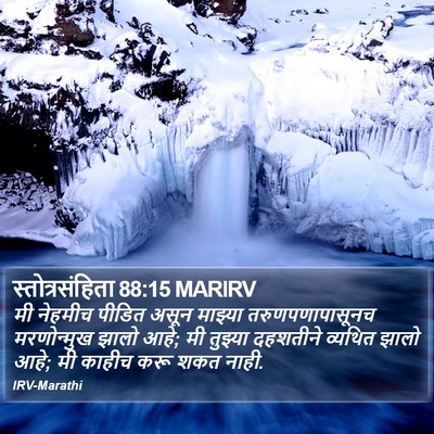 स्तोत्रसंहिता 88:15 MARIRV Bible Verse Image