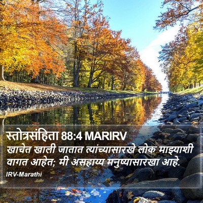 स्तोत्रसंहिता 88:4 MARIRV Bible Verse Image