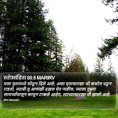 स्तोत्रसंहिता 88:5 MARIRV Bible Verse Image