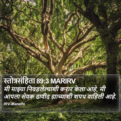 स्तोत्रसंहिता 89:3 MARIRV Bible Verse Image