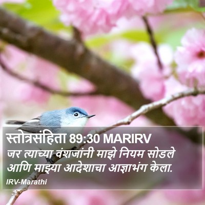 स्तोत्रसंहिता 89:30 MARIRV Bible Verse Image