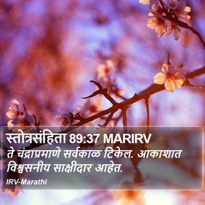 स्तोत्रसंहिता 89:37 MARIRV Bible Verse Image