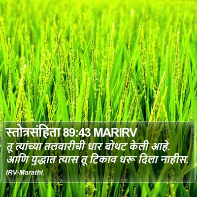 स्तोत्रसंहिता 89:43 MARIRV Bible Verse Image