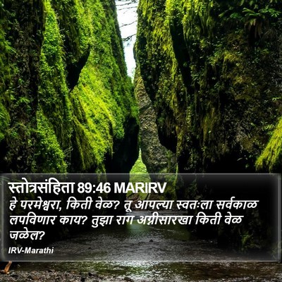 स्तोत्रसंहिता 89:46 MARIRV Bible Verse Image