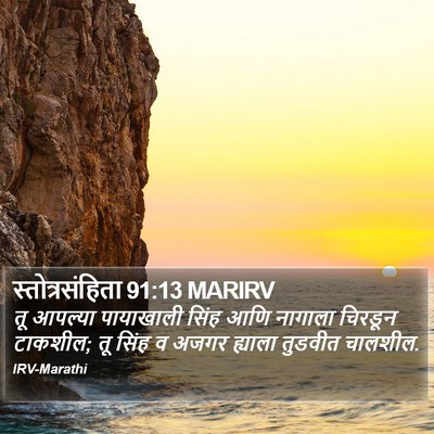 स्तोत्रसंहिता 91:13 MARIRV Bible Verse Image