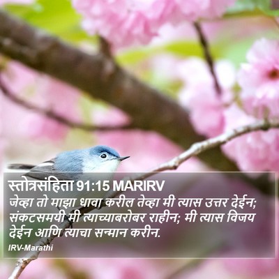 स्तोत्रसंहिता 91:15 MARIRV Bible Verse Image