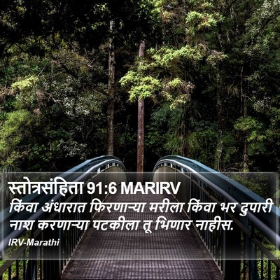 स्तोत्रसंहिता 91:6 MARIRV Bible Verse Image