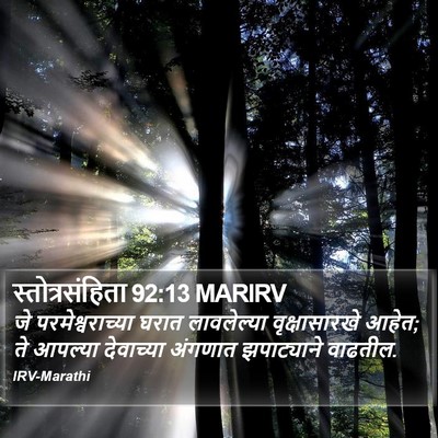 स्तोत्रसंहिता 92:13 MARIRV Bible Verse Image