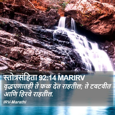 स्तोत्रसंहिता 92:14 MARIRV Bible Verse Image