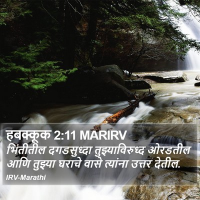 हबक्कूक 2:11 MARIRV Bible Verse Image