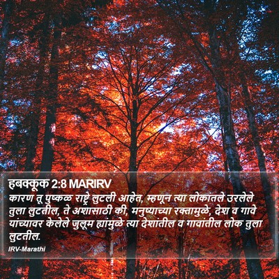 हबक्कूक 2:8 MARIRV Bible Verse Image