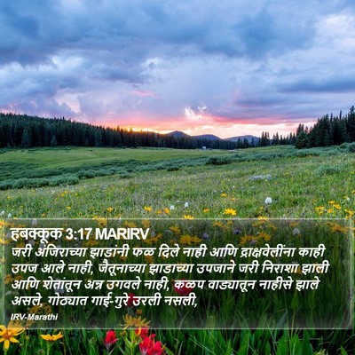 हबक्कूक 3:17 MARIRV Bible Verse Image