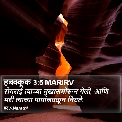 हबक्कूक 3:5 MARIRV Bible Verse Image