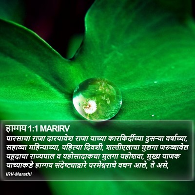 हाग्गय 1:1 MARIRV Bible Verse Image