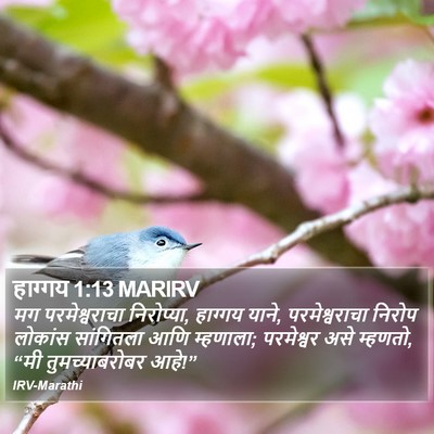 हाग्गय 1:13 MARIRV Bible Verse Image