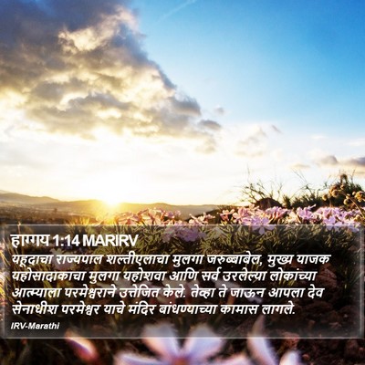 हाग्गय 1:14 MARIRV Bible Verse Image
