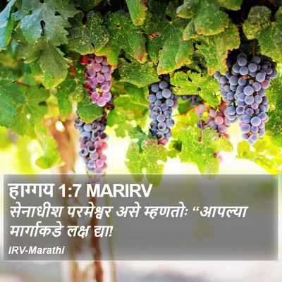 हाग्गय 1:7 MARIRV Bible Verse Image