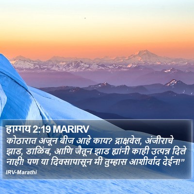 हाग्गय 2:19 MARIRV Bible Verse Image