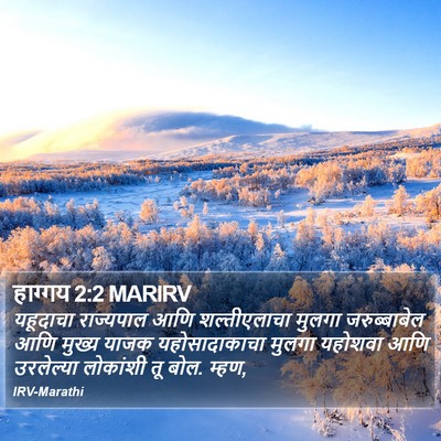 हाग्गय 2:2 MARIRV Bible Verse Image