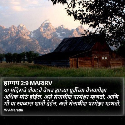 हाग्गय 2:9 MARIRV Bible Verse Image