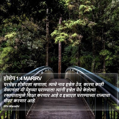 होशेय 1:4 MARIRV Bible Verse Image