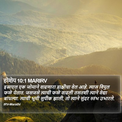 होशेय 10:1 MARIRV Bible Verse Image