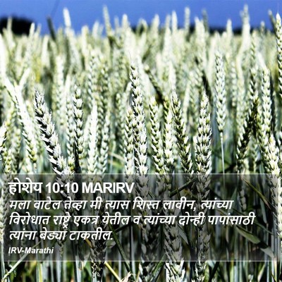 होशेय 10:10 MARIRV Bible Verse Image