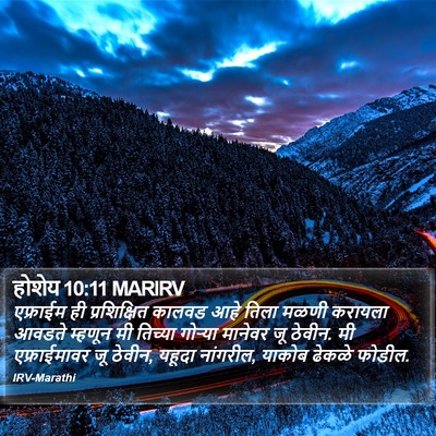 होशेय 10:11 MARIRV Bible Verse Image