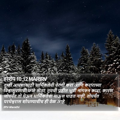 होशेय 10:12 MARIRV Bible Verse Image
