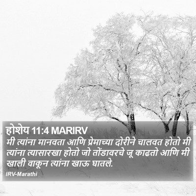 होशेय 11:4 MARIRV Bible Verse Image