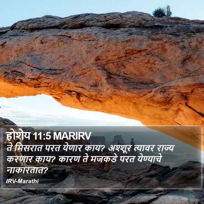 होशेय 11:5 MARIRV Bible Verse Image