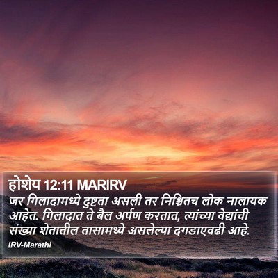 होशेय 12:11 MARIRV Bible Verse Image