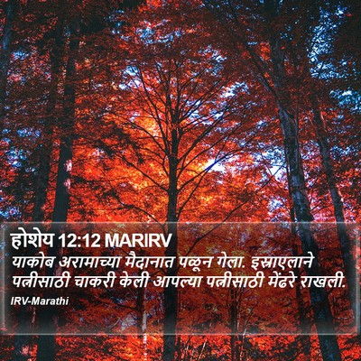 होशेय 12:12 MARIRV Bible Verse Image