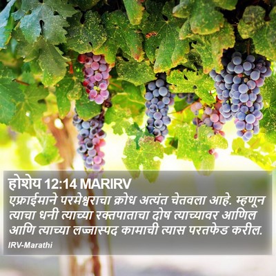 होशेय 12:14 MARIRV Bible Verse Image
